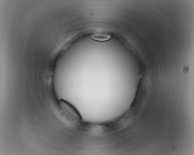 X0000111580456200907161200