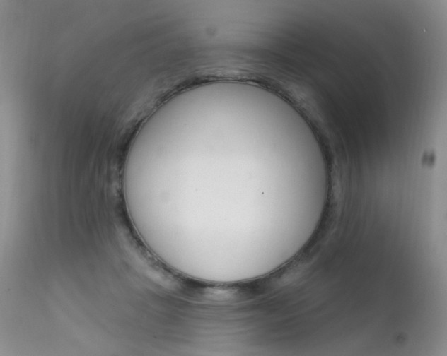 X0000111580457200907161200