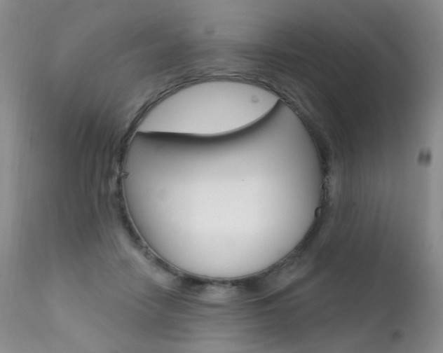 X0000111580458200907161200