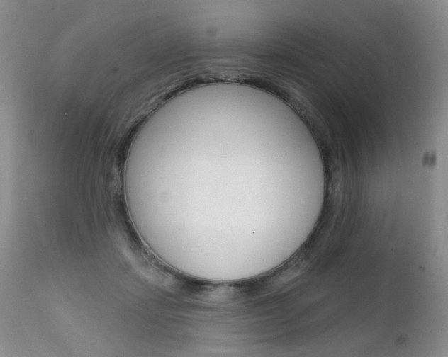X0000111580459200907161200