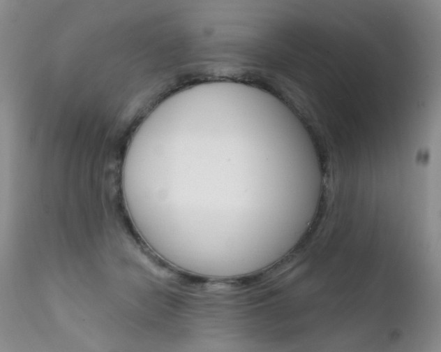 X0000111580462200907161200