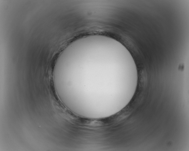 X0000111580463200907161200