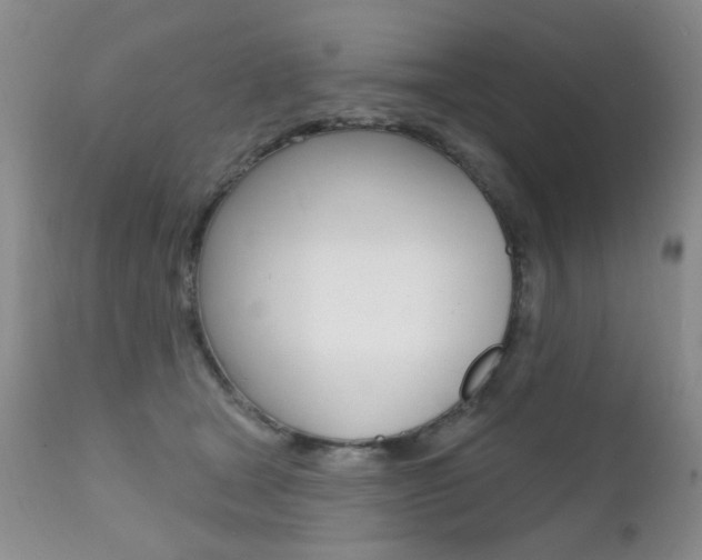 X0000111580465200907161200
