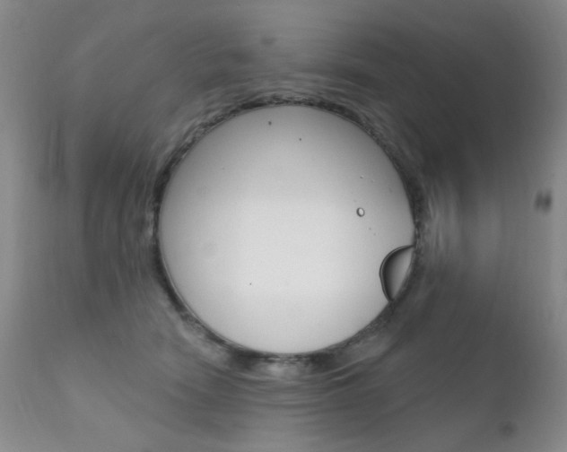 X0000111580466200907161200
