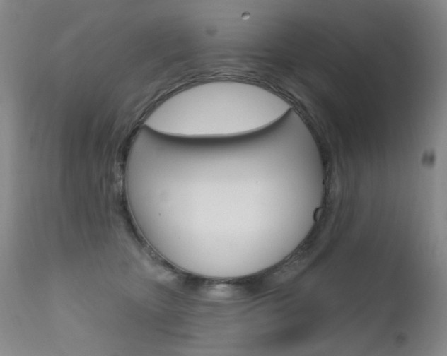 X0000111580467200907161200