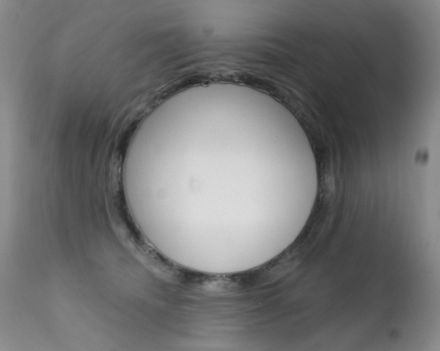 X0000111580468200907161200