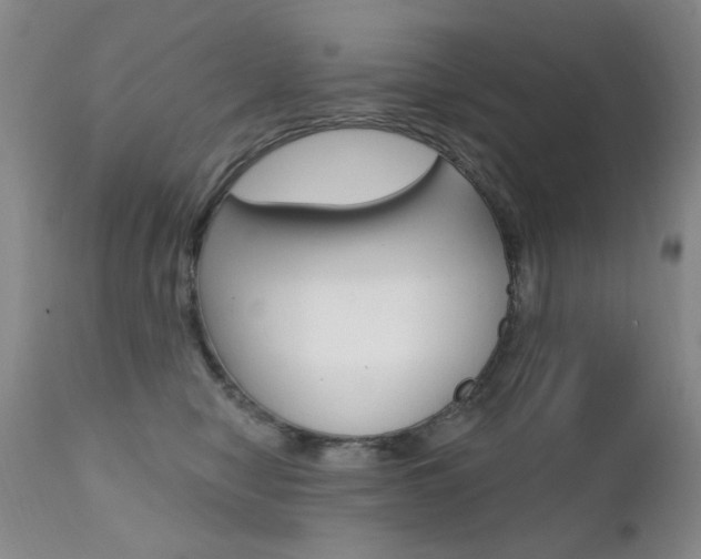 X0000111580470200907161200