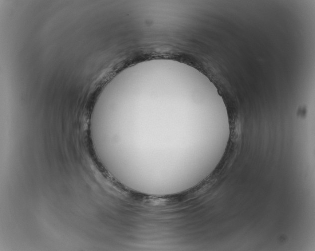 X0000111580472200907161200