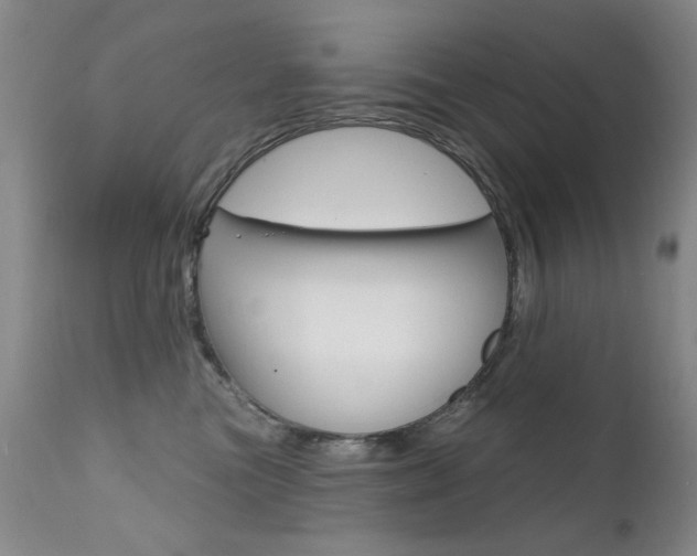 X0000111580473200907161200