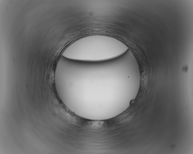 X0000111580474200907161200