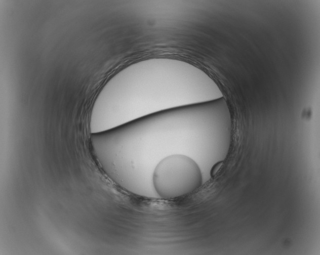 X0000111580475200907161200
