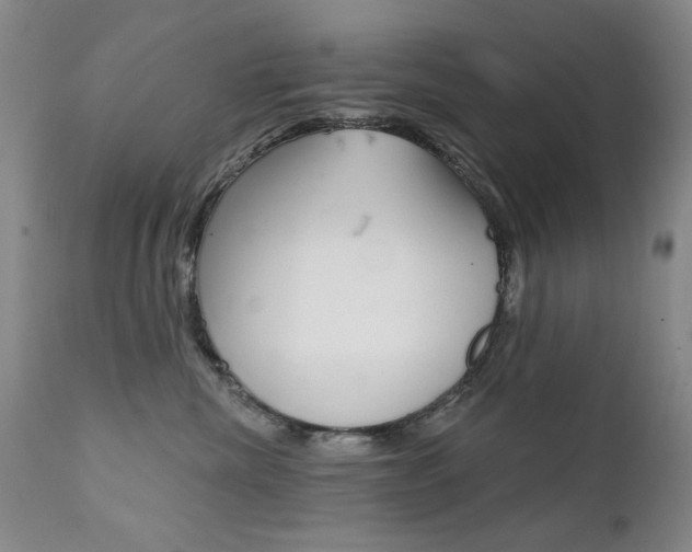 X0000111580476200907161200