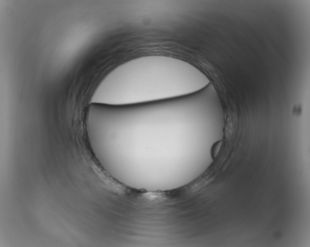 X0000111580477200907161200