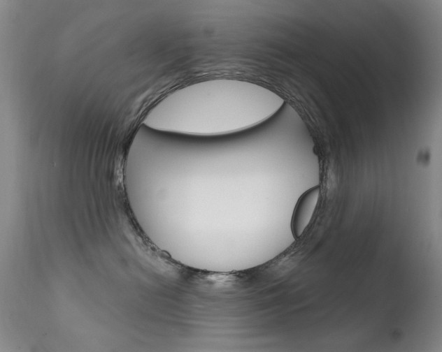 X0000111580478200907161200