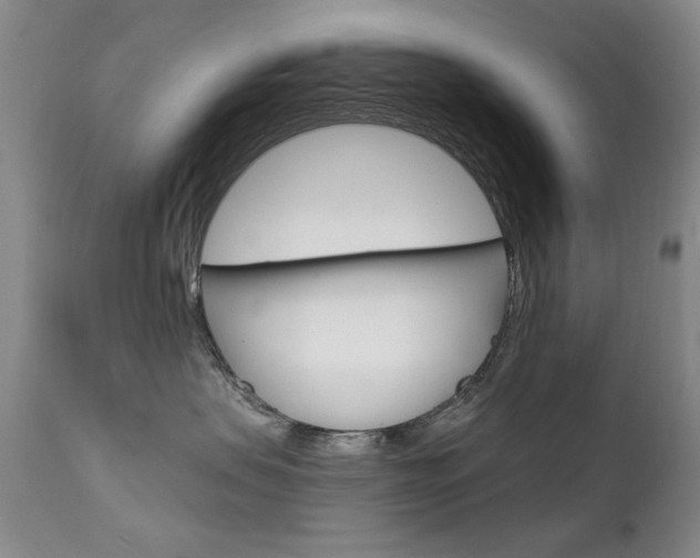 X0000111580479200907161200