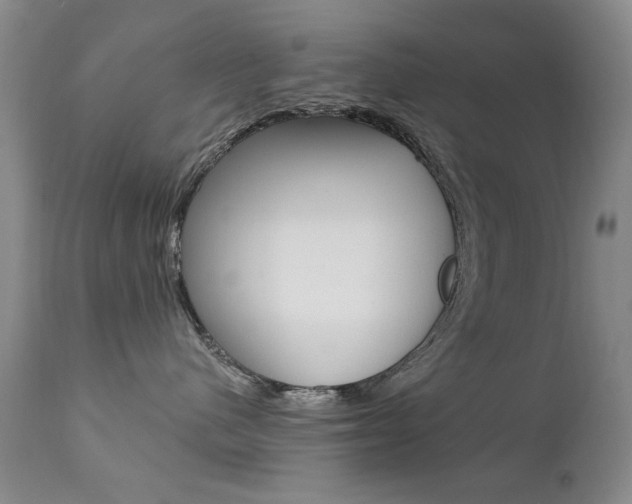 X0000111580480200907161200