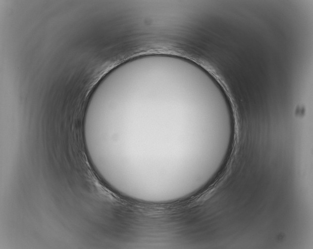 X0000111580481200907161159
