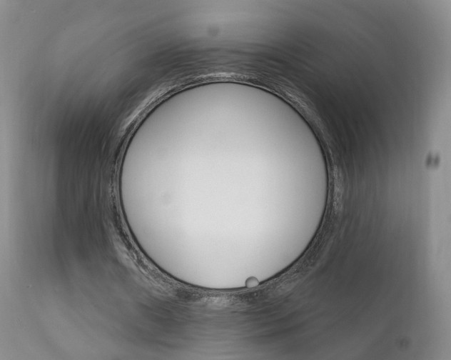 X0000111580482200907161159