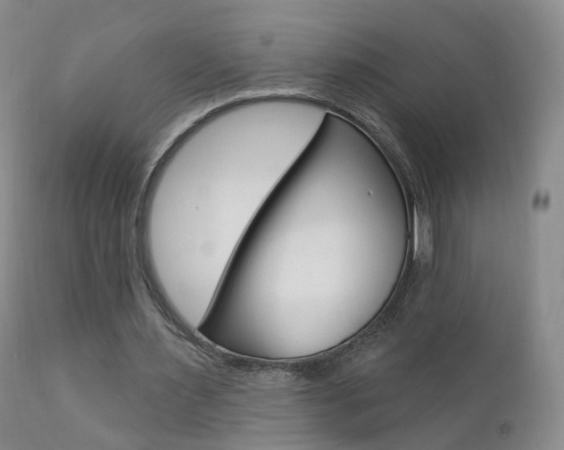 X0000111580483200907161159