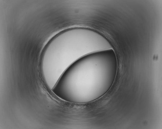 X0000111580484200907161159