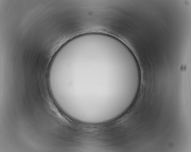X0000111580485200907161159