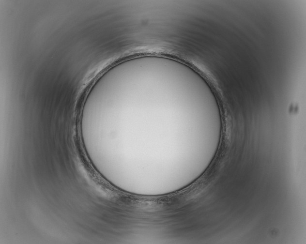 X0000111580486200907161159