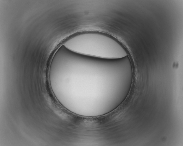 X0000111580487200907161159