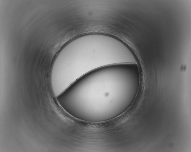 X0000111580489200907161159