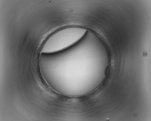 X0000111580492200907161159