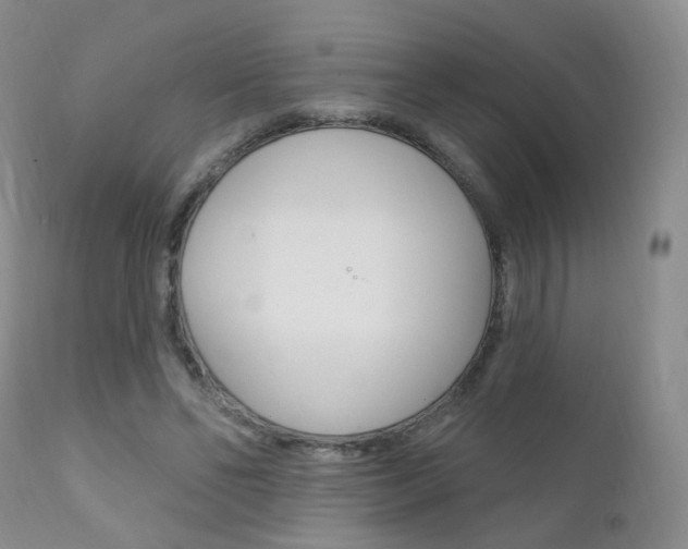 X0000111580494200907161159