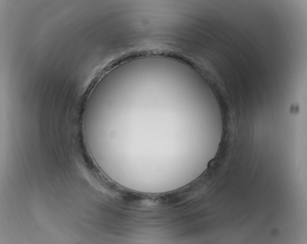 X0000111580496200907161159