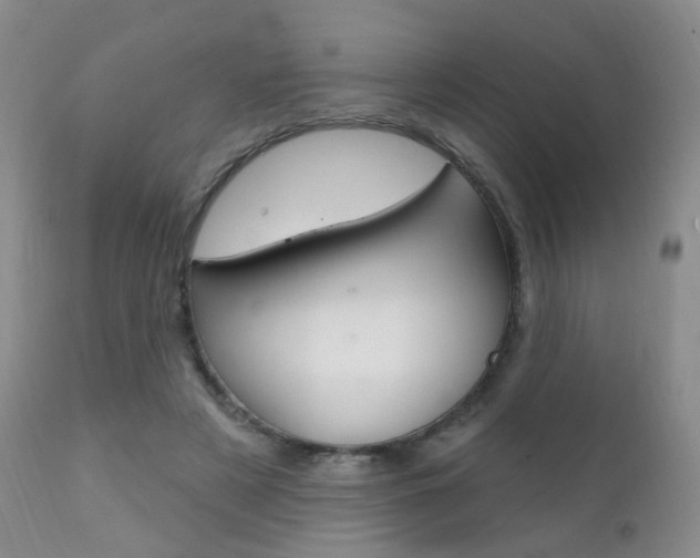 X0000111580497200907161159