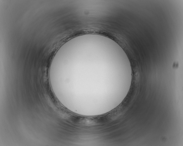 X0000111580498200907161159