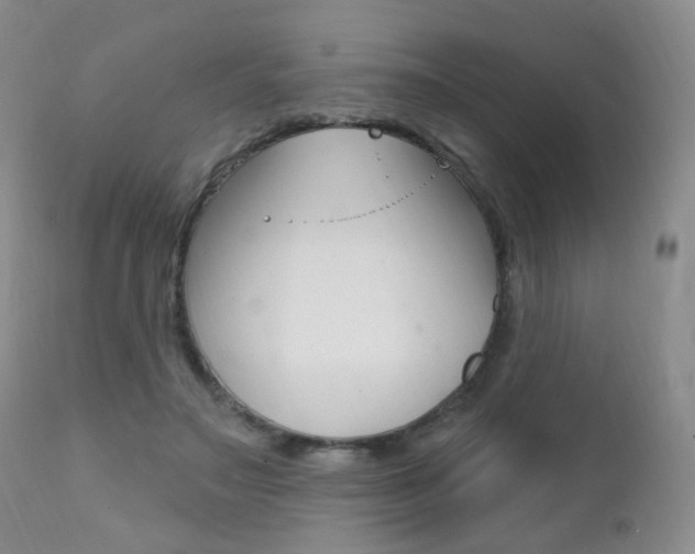 X0000111580499200907161159