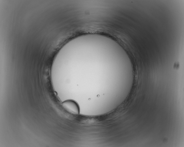X0000111580503200907161159