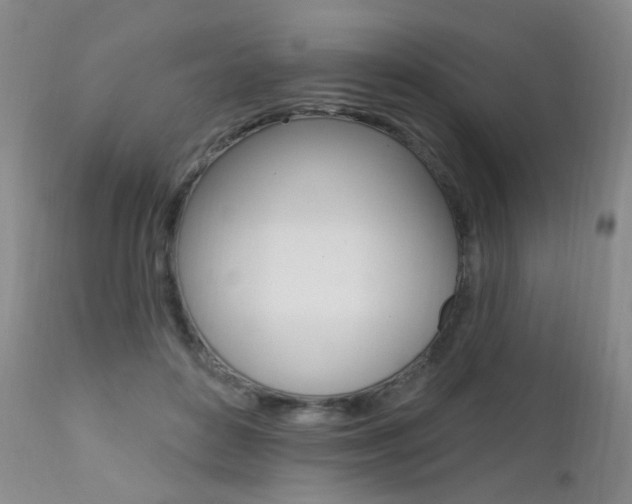 X0000111580504200907161159