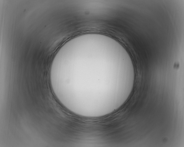 X0000111580505200907161159