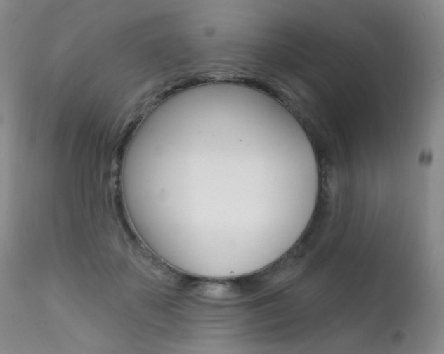 X0000111580507200907161159