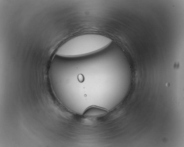 X0000111580508200907161159