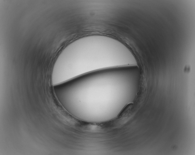 X0000111580509200907161159