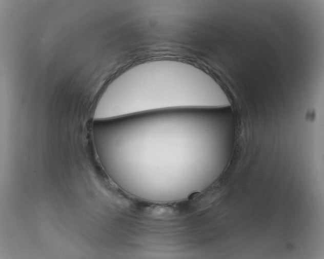 X0000111580512200907161159