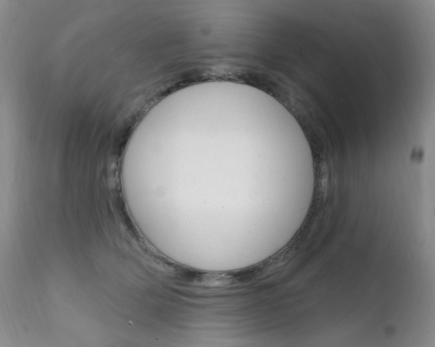 X0000111580514200907161159