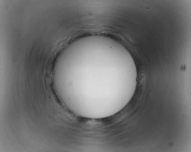 X0000111580515200907161159