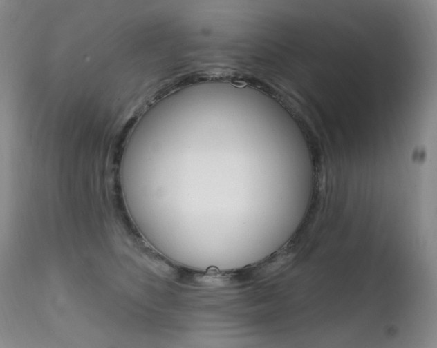 X0000111580516200907161159