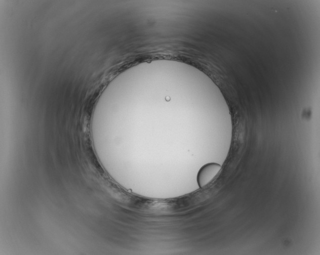 X0000111580518200907161159