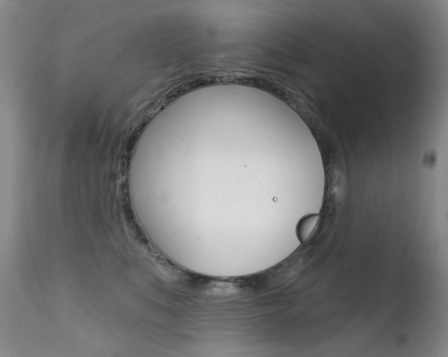 X0000111580519200907161159