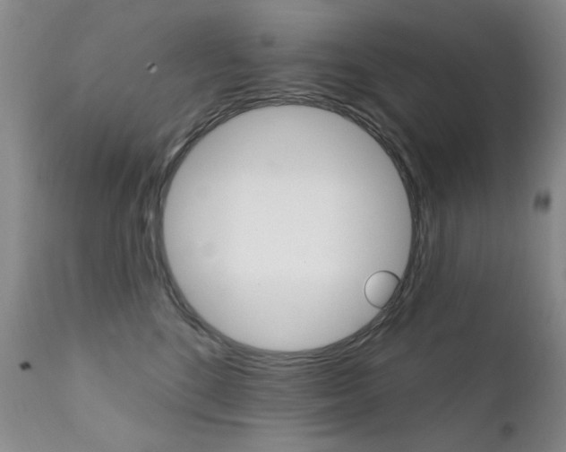 X0000111580520200907161159