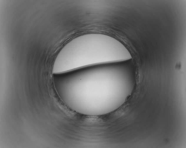 X0000111580521200907161159