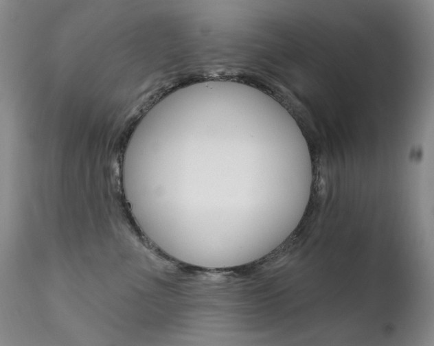 X0000111580523200907161159