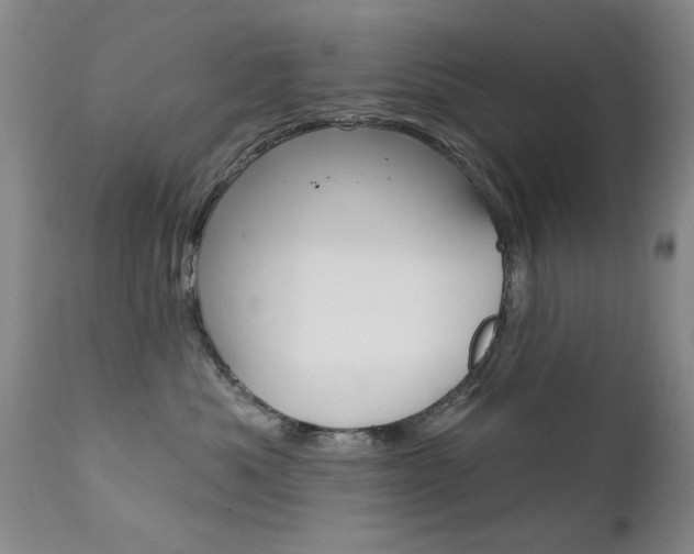 X0000111580525200907161159